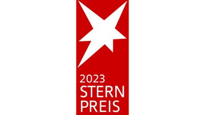 Logo STERN-Preis